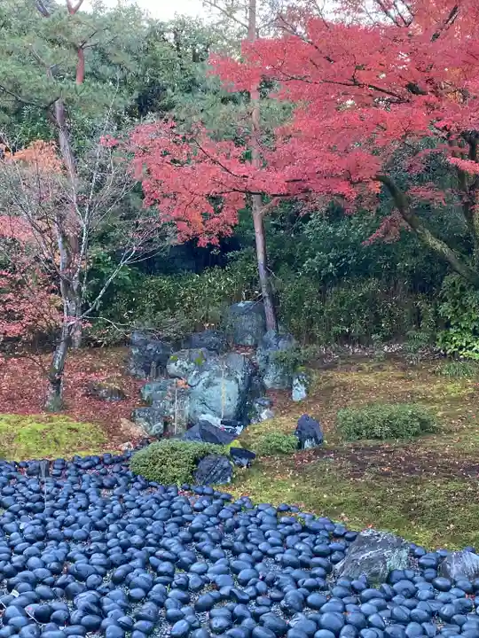 宝厳院(京都府)