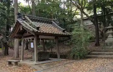 熊野神社の{uncategorized: "未分類", other: "その他", undefined: "問題あり", building: "その他建物", grave: "お墓", sacred_gate: "鳥居", guardian: "狛犬", statue: "像", buddha: "仏像", history: "歴史", nature: "自然", garden: "庭園", animal: "動物", pagoda: "塔", temizu: "手水舎", mountain_gate: "山門・神門", sanctuary: "本殿・本堂", subordinate: "末社・摂社", art: "芸術", scenery: "景色", jizo: "地蔵", ema: "絵馬", goshuin: "御朱印", omikuji: "おみくじ", items: "授与品その他", amulet: "お守り", goshuincho: "御朱印帳", eats: "食事", festival: "お祭り", votive_dance: "神楽", shichigosan: "七五三参", wedding: "結婚式", experience: "体験その他", initially: "初詣", around: "周辺", anti_infection: "感染症対策"}