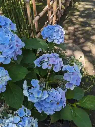 上野東照宮(東京都)