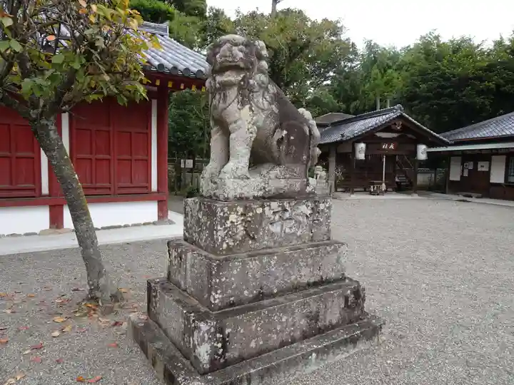 櫻井神社の狛犬