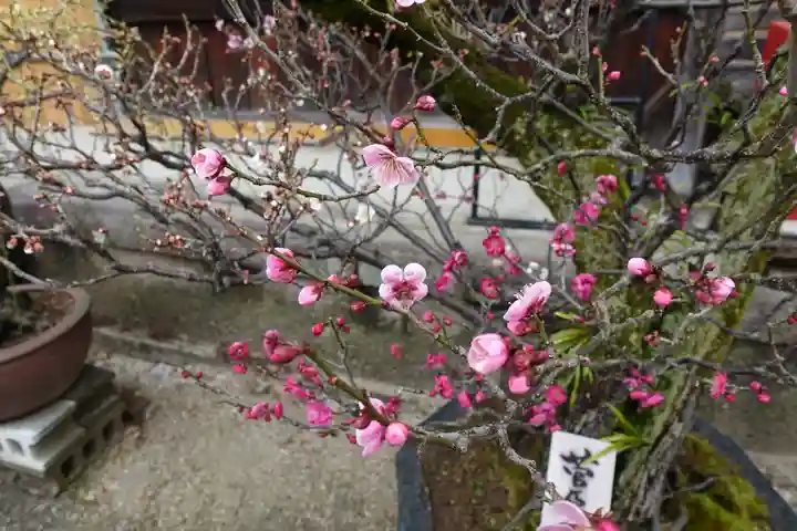 菅原天満宮(菅原神社)のその他建物