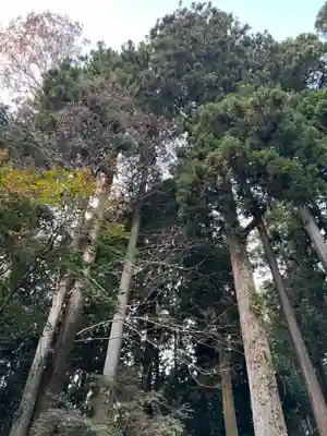 大宮温泉神社(栃木県)