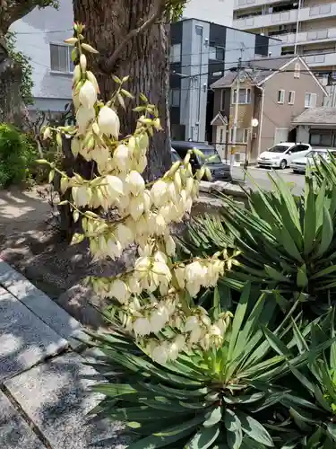 八宮神社の自然