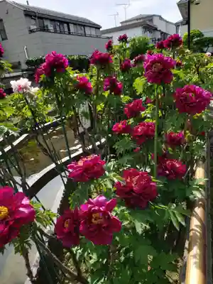 禅定院(東京都)