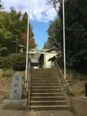 鷲神社の建物その他