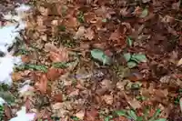 三春大神宮の自然