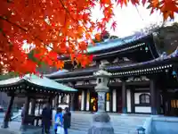 長谷寺の本殿・本堂
