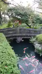 浅草寺の庭園