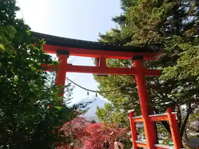 新倉富士浅間神社の鳥居