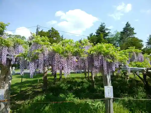 北海道護國神社の庭園