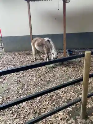 平塚八幡宮(神奈川県)