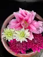 菅生神社(愛知県)