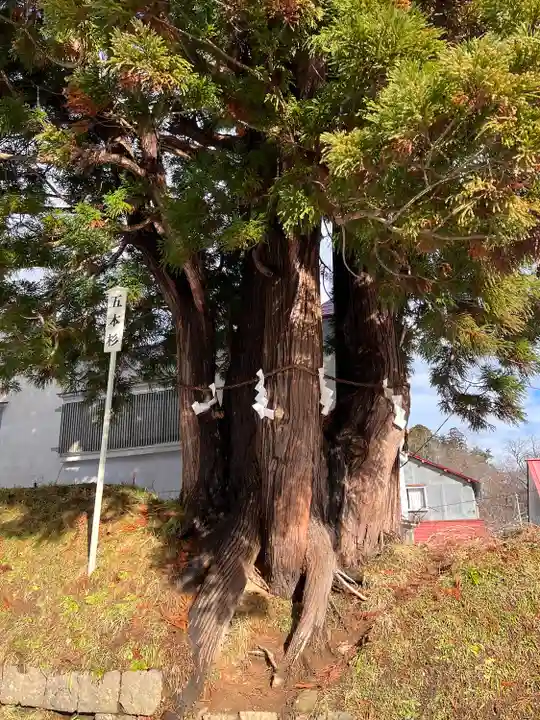 求聞寺(青森県)