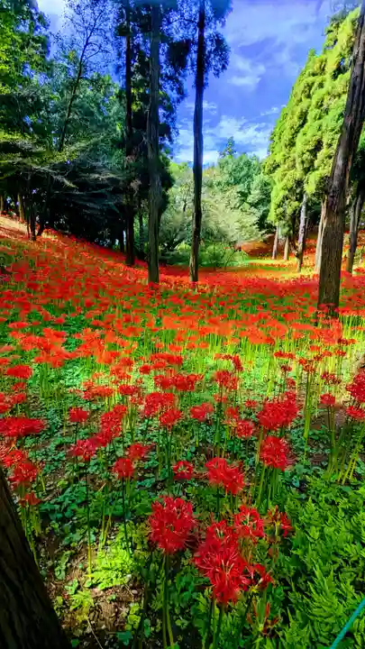 七百餘所神社 の周辺