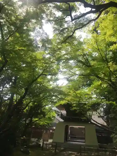 大正寺の庭園
