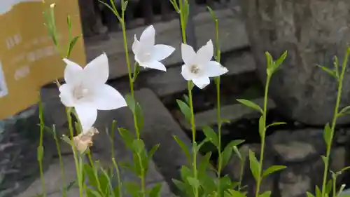 行願寺（革堂）(京都府)