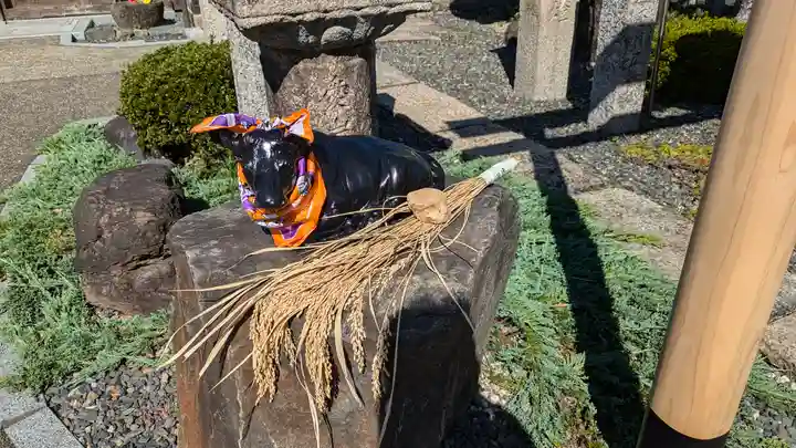 大松禅寺(京都府)