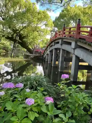 太宰府天満宮(福岡県)