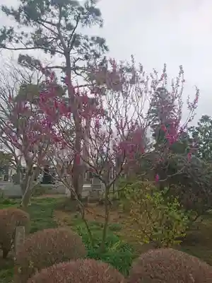 善長寺のその他建物