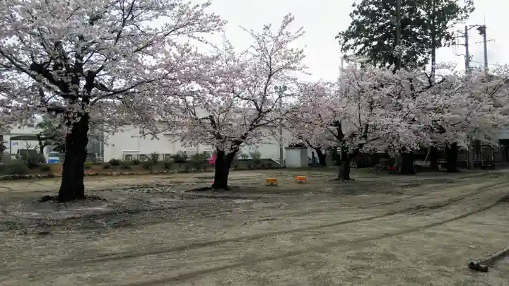 石和八幡宮(官知物部神社)の自然