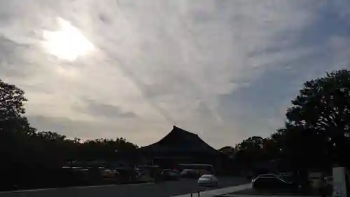 東寺（教王護国寺）の自然