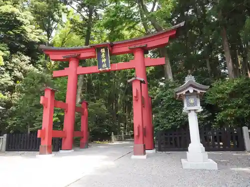 彌彦神社の鳥居