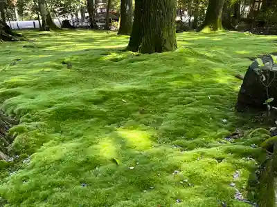 都農神社(宮崎県)