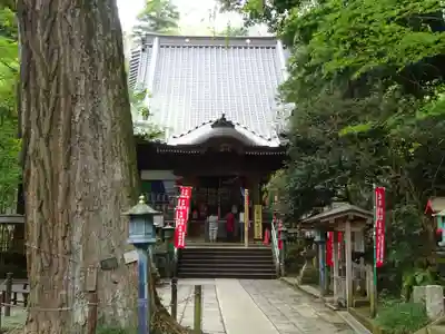 野津田薬師堂(福王寺)の本殿・本堂