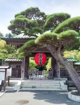 長谷寺(神奈川県)