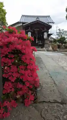 春日神社(京都府)