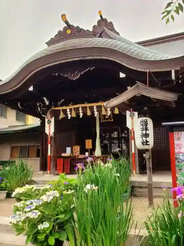 磐井神社(東京都)