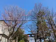 手稲神社(北海道)