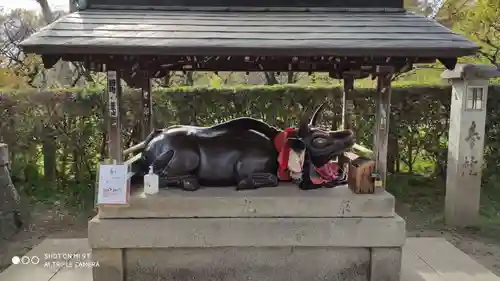 北野天満宮の狛犬