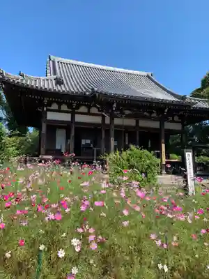 般若寺 ❁コスモス寺❁の本殿・本堂