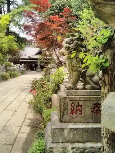 大宝八幡宮の狛犬