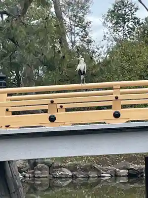 嚴島神社 (京都御苑)(京都府)