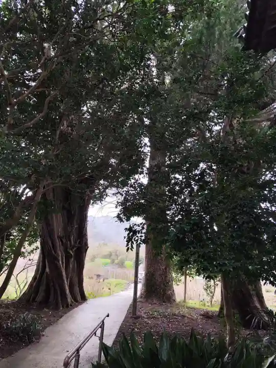 浄瑠璃寺(愛媛県)