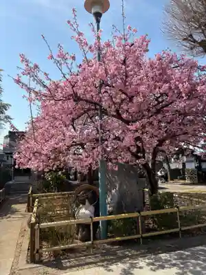 芳林寺(埼玉県)
