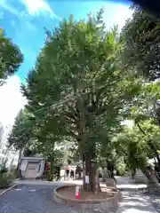 鳩森八幡神社(東京都)