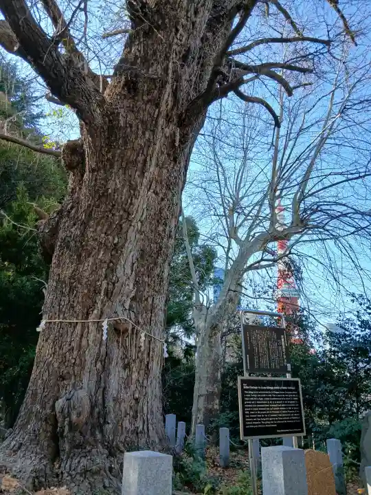 芝東照宮の{uncategorized: "未分類", other: "その他", undefined: "問題あり", building: "その他建物", grave: "お墓", sacred_gate: "鳥居", guardian: "狛犬", statue: "像", buddha: "仏像", history: "歴史", nature: "自然", garden: "庭園", animal: "動物", pagoda: "塔", temizu: "手水舎", mountain_gate: "山門・神門", sanctuary: "本殿・本堂", subordinate: "末社・摂社", art: "芸術", scenery: "景色", jizo: "地蔵", ema: "絵馬", goshuin: "御朱印", omikuji: "おみくじ", items: "授与品その他", amulet: "お守り", goshuincho: "御朱印帳", eats: "食事", festival: "お祭り", votive_dance: "神楽", shichigosan: "七五三参", wedding: "結婚式", experience: "体験その他", initially: "初詣", around: "周辺", anti_infection: "感染症対策"}