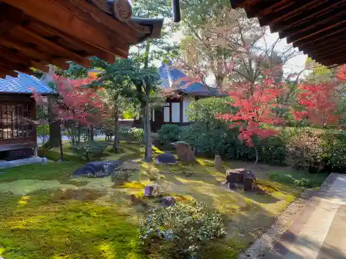 建仁寺（建仁禅寺）の庭園