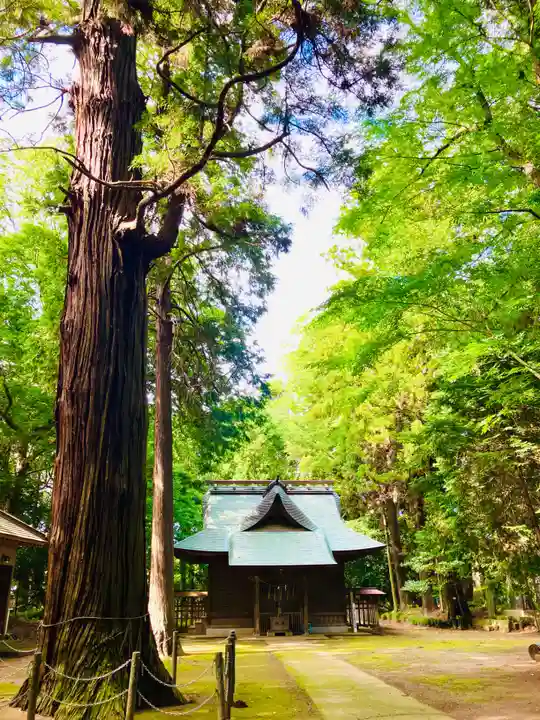 大生神社(茨城県)