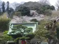 長谷寺のその他建物