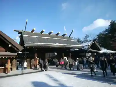 北海道神宮の初詣