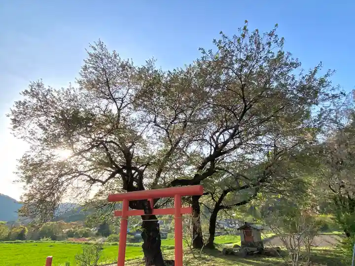 天神宮(伝河原氏屋敷跡)の自然