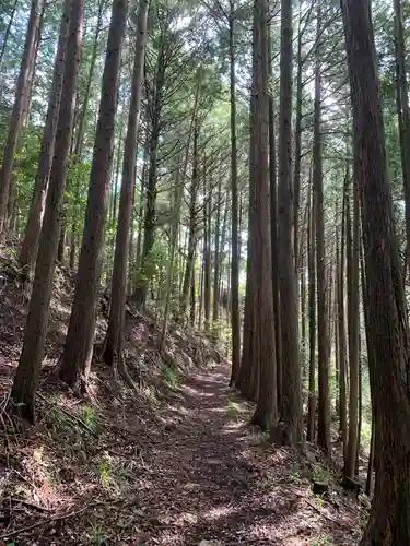 琴平神社の景色