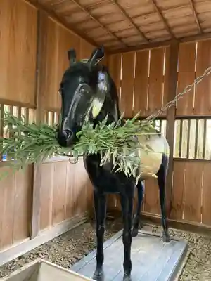 近津神社(茨城県)