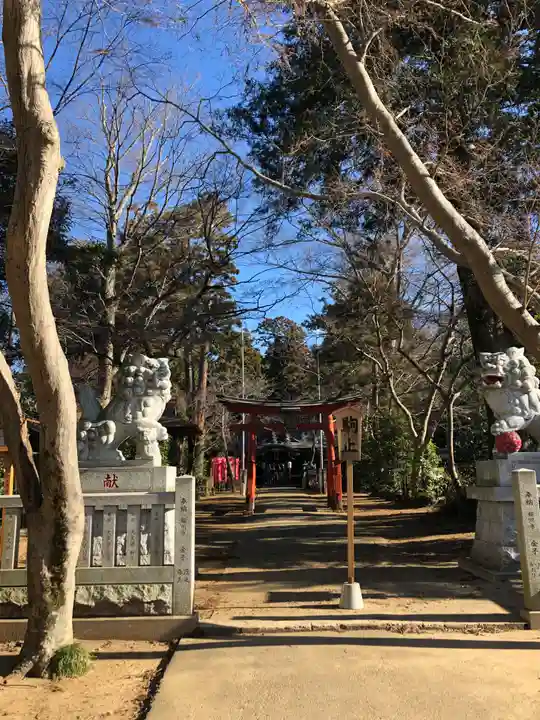 鹿嶋神社の狛犬