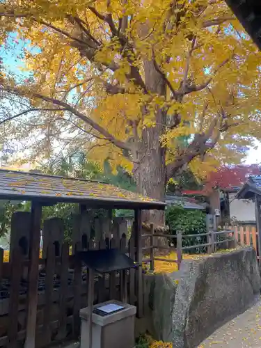 廣田神社の自然