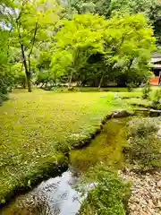 賀茂別雷神社（上賀茂神社）(京都府)